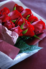 �_�[�Y�����[�Y�u�[�P