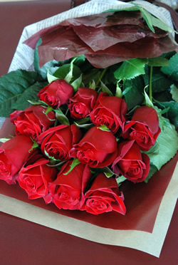 �_�[�Y�����[�Y�u�[�P