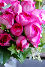 �t���O�����X�u�[�P