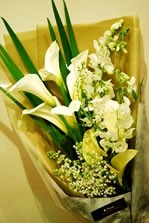 �X�^���_�[�h�u�[�P�X�^�C��