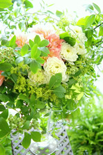 �z���]���^��