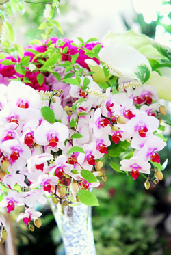 �z���]���^��